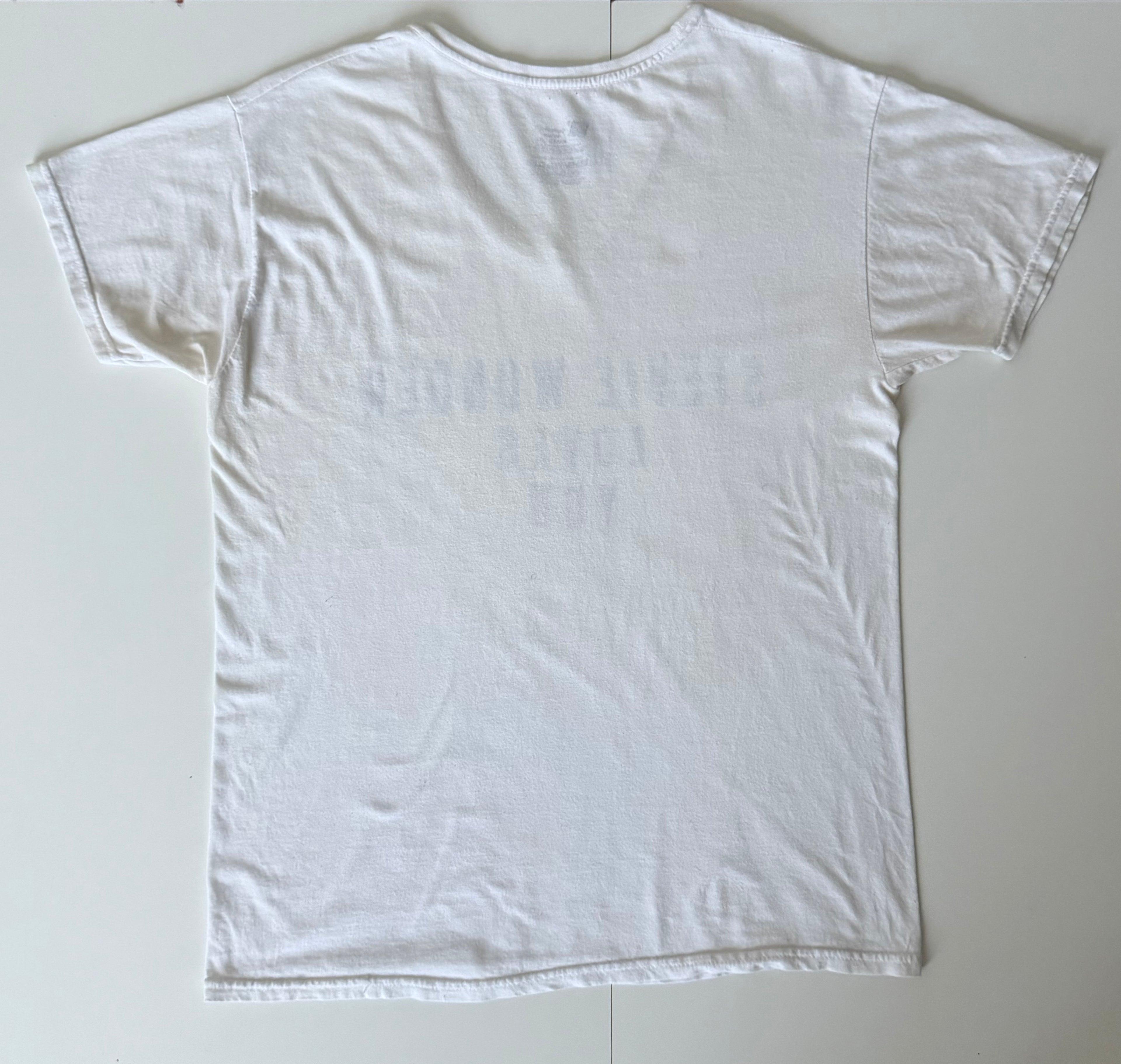 GRAY 001 — STEVIE WONDER LOVES YOU V-Neck White / M / G1